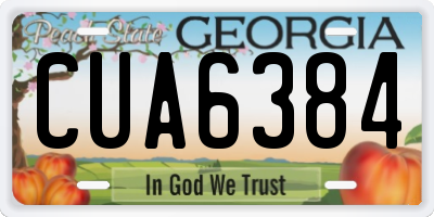 GA license plate CUA6384