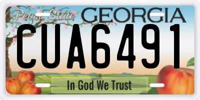GA license plate CUA6491