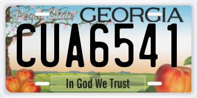 GA license plate CUA6541