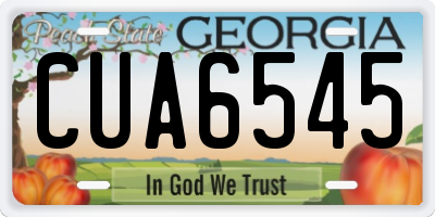 GA license plate CUA6545