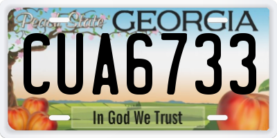 GA license plate CUA6733