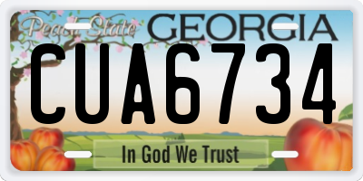 GA license plate CUA6734
