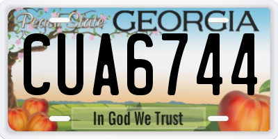 GA license plate CUA6744