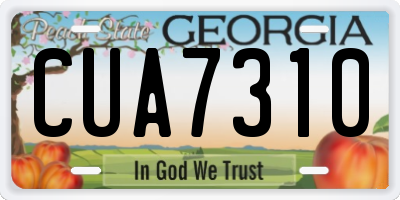 GA license plate CUA7310