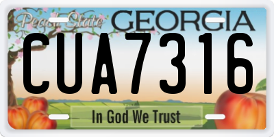 GA license plate CUA7316