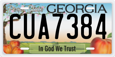 GA license plate CUA7384