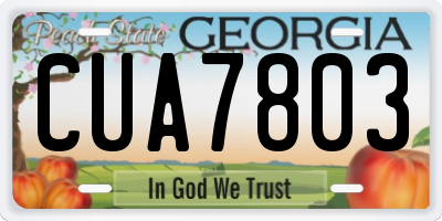 GA license plate CUA7803