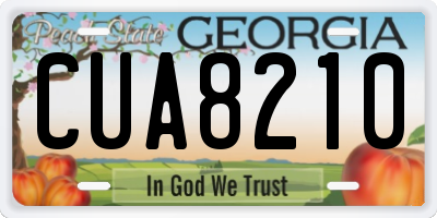 GA license plate CUA8210