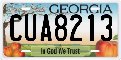 GA license plate CUA8213