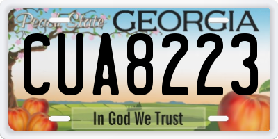 GA license plate CUA8223