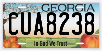 GA license plate CUA8238