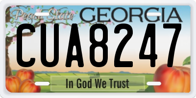 GA license plate CUA8247
