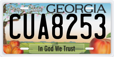 GA license plate CUA8253