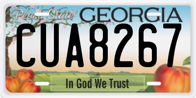 GA license plate CUA8267