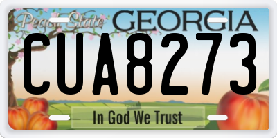 GA license plate CUA8273