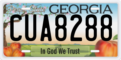 GA license plate CUA8288