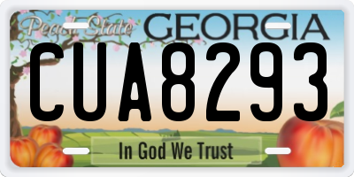 GA license plate CUA8293