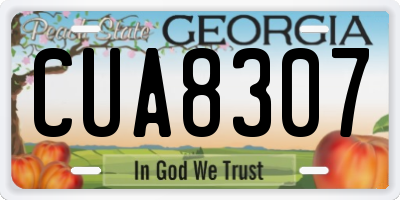 GA license plate CUA8307