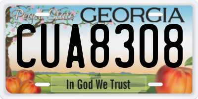 GA license plate CUA8308