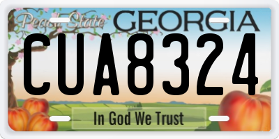 GA license plate CUA8324