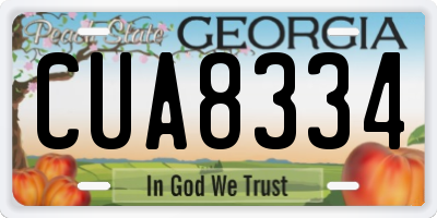 GA license plate CUA8334