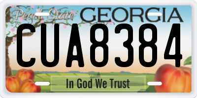 GA license plate CUA8384
