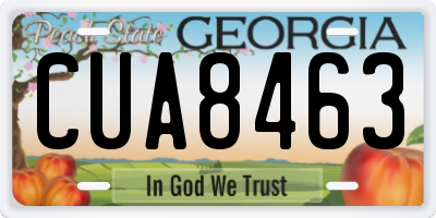 GA license plate CUA8463
