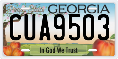 GA license plate CUA9503