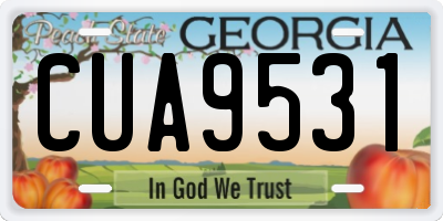 GA license plate CUA9531