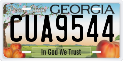 GA license plate CUA9544