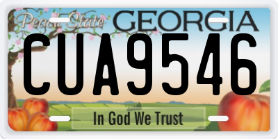 GA license plate CUA9546