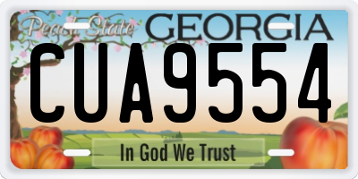 GA license plate CUA9554