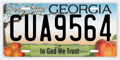 GA license plate CUA9564