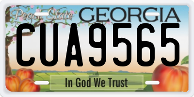 GA license plate CUA9565