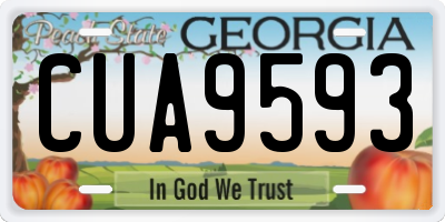 GA license plate CUA9593