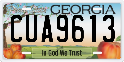 GA license plate CUA9613