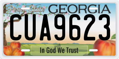 GA license plate CUA9623