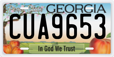 GA license plate CUA9653
