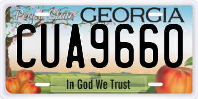 GA license plate CUA9660