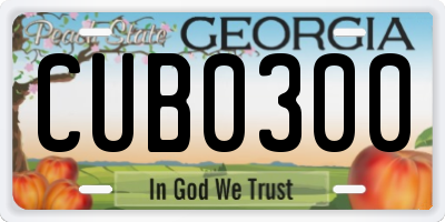 GA license plate CUB0300