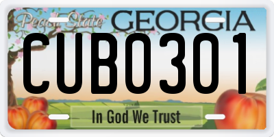 GA license plate CUB0301