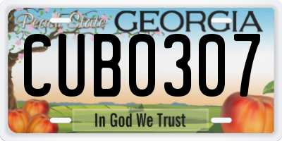 GA license plate CUB0307