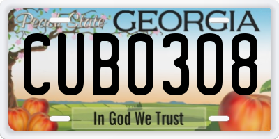 GA license plate CUB0308
