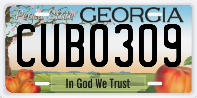 GA license plate CUB0309