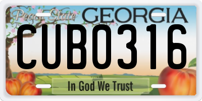 GA license plate CUB0316