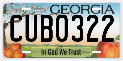 GA license plate CUB0322