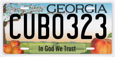 GA license plate CUB0323