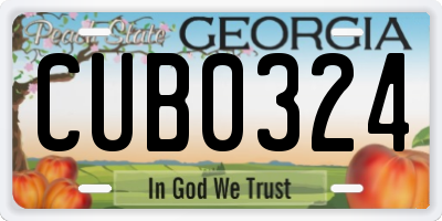 GA license plate CUB0324