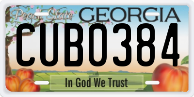GA license plate CUB0384