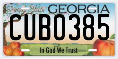 GA license plate CUB0385